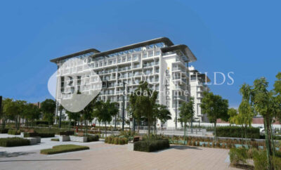 Bloomfields Pretty Stu in Oasis