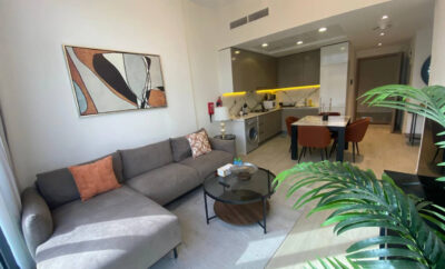 Large 1 Bedroom Apartment in Azizi Riviera 15