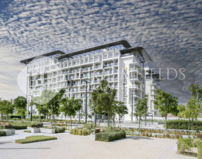 223- Solace Stu in Oasis